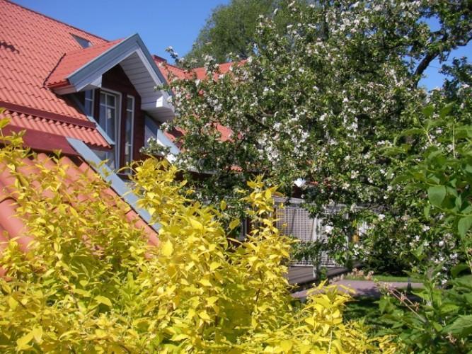 Apartamentai Obelyne 팔랑가 외부 사진