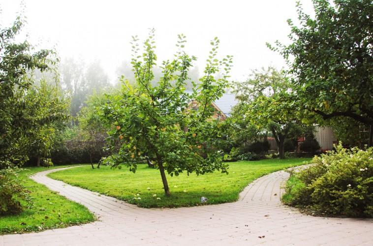Apartamentai Obelyne 팔랑가 외부 사진