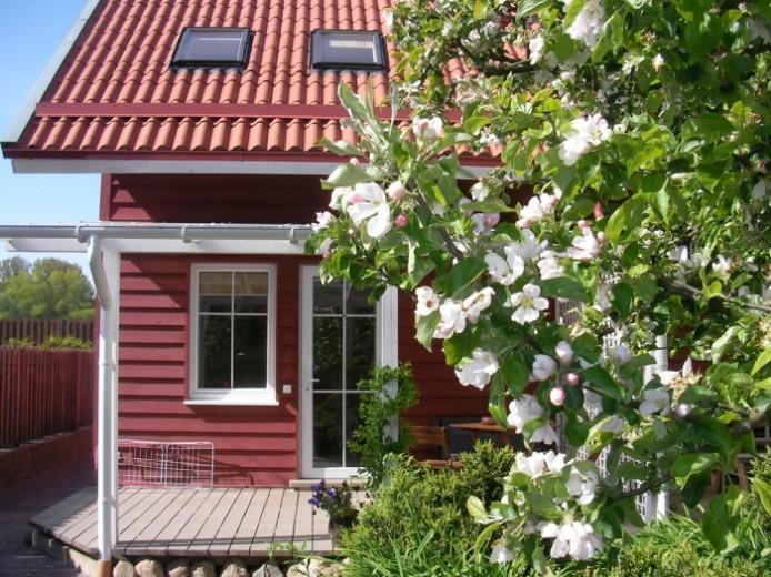 Apartamentai Obelyne 팔랑가 외부 사진
