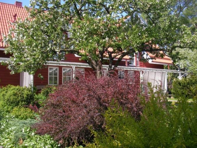 Apartamentai Obelyne 팔랑가 외부 사진