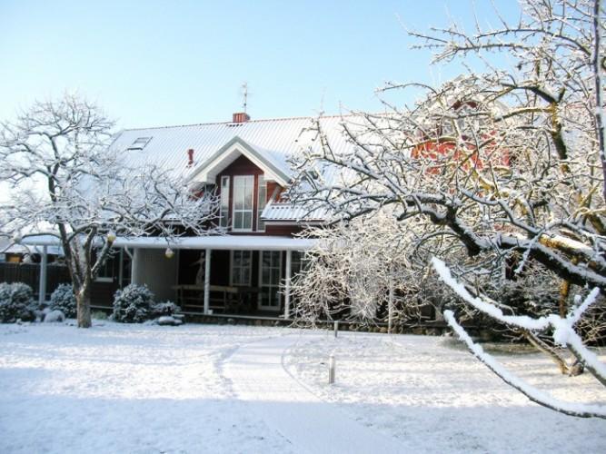 Apartamentai Obelyne 팔랑가 외부 사진